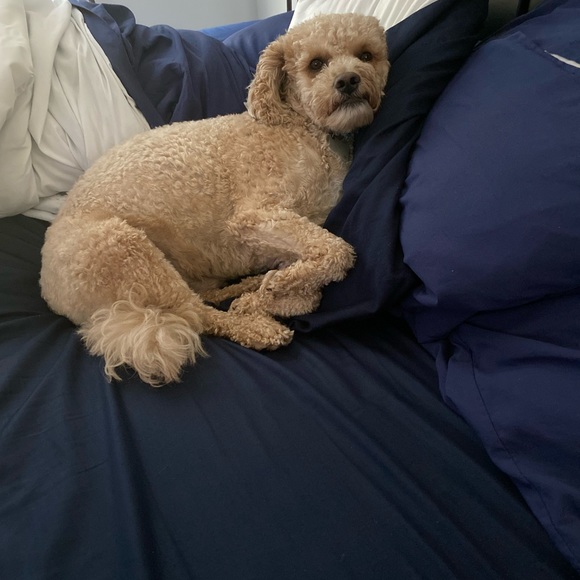 Meet Your Posher - Picture 7 of 7